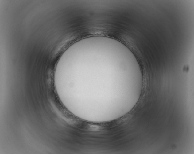 X0000111230167200907091344