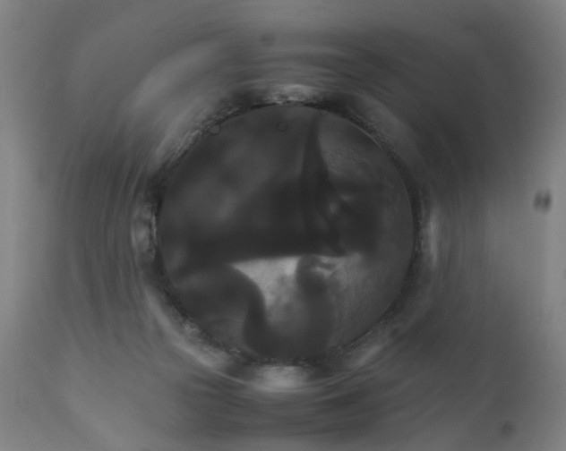 X0000111230169200907091344