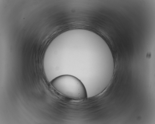 X0000111230170200907091344