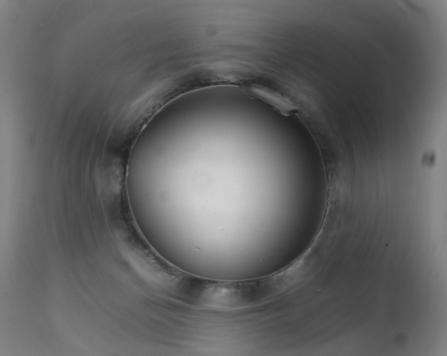 X0000111230174200907091344