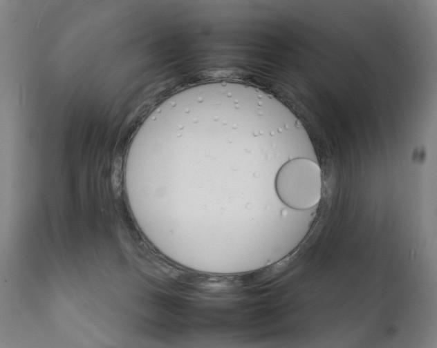 X0000111230175200907091344