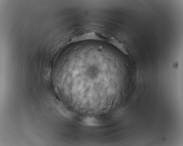 X0000111230177200907091344