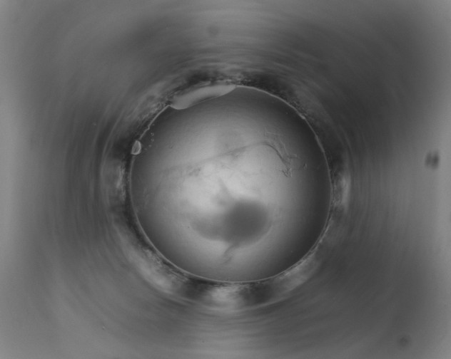 X0000111230178200907091344