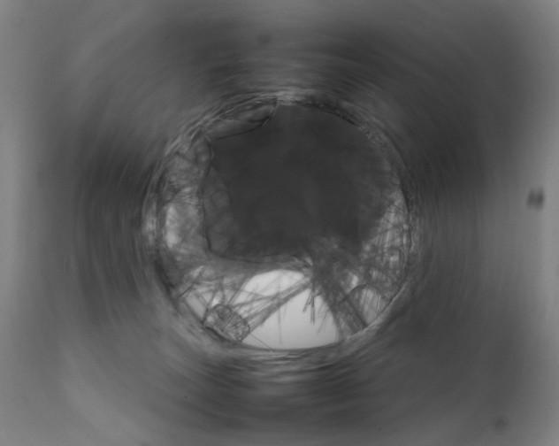 X0000111230179200907091344