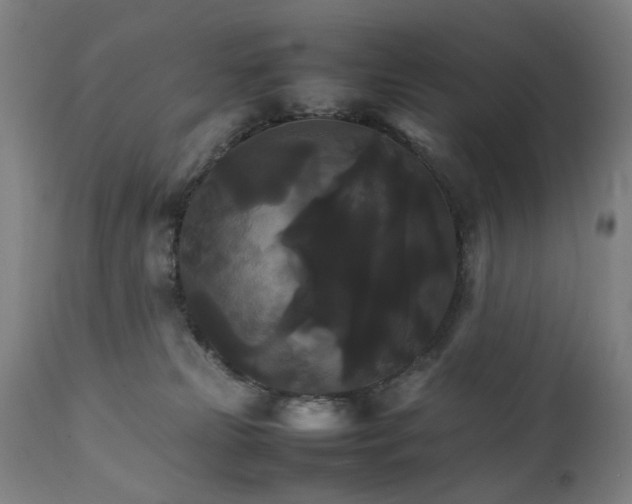 X0000111230181200907091344