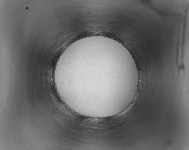 X0000111230182200907091344