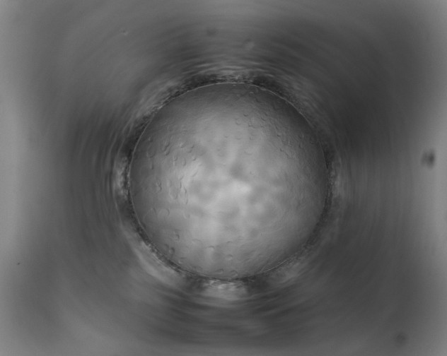 X0000111230185200907091344