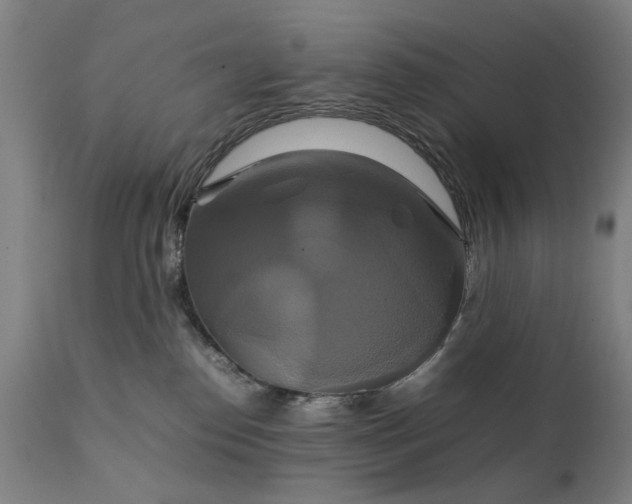 X0000111230186200907091344