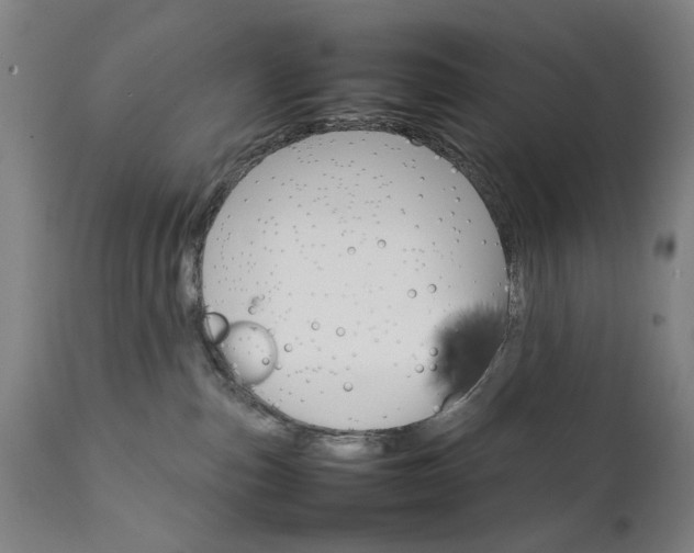 X0000111230187200907091344