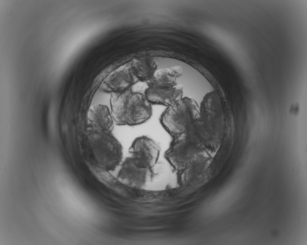 X0000111230189200907091344
