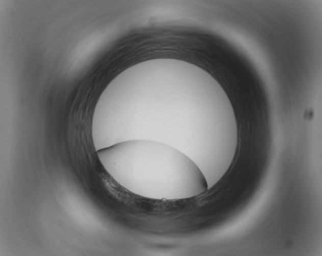 X0000111230190200907091344