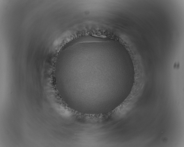 X0000111230192200907091344