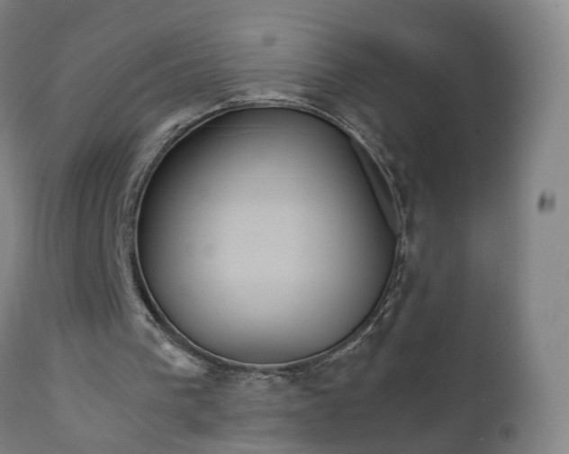X0000111230193200907091343