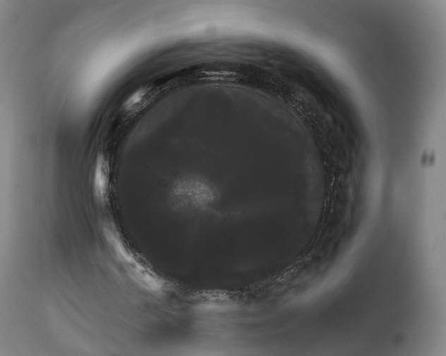 X0000111230194200907091343