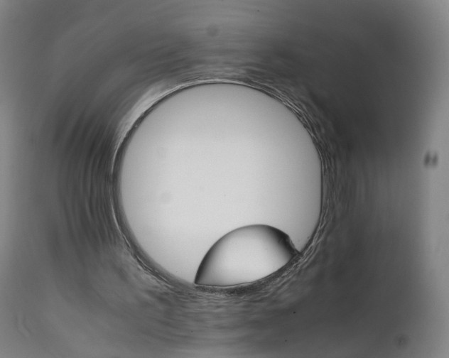 X0000111230195200907091343