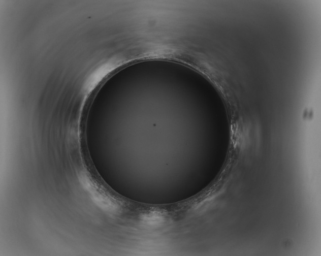 X0000111230196200907091343
