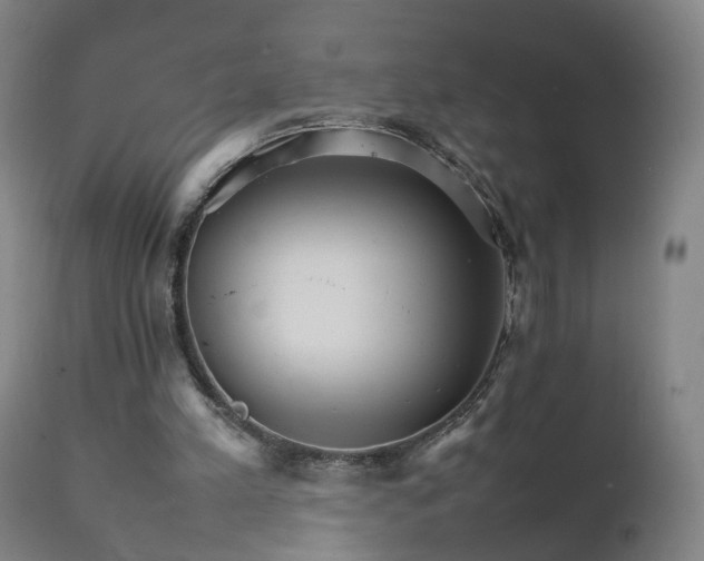 X0000111230197200907091343