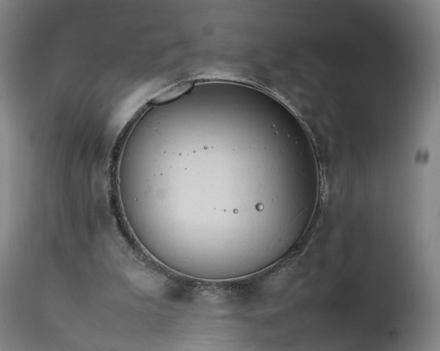 X0000111230199200907091343