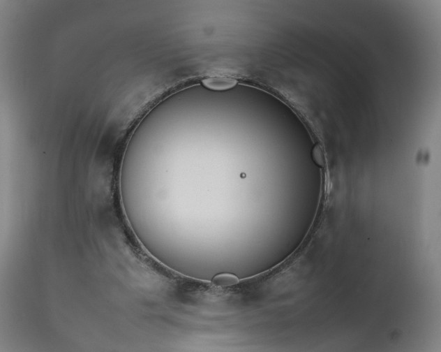 X0000111230201200907091343