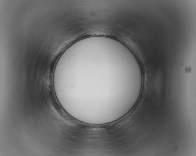 X0000111230202200907091343