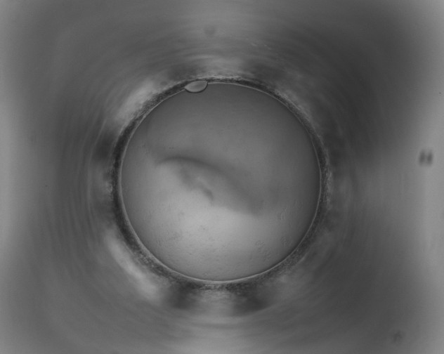 X0000111230203200907091343