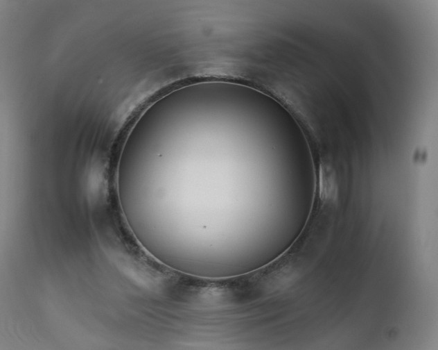 X0000111230204200907091343