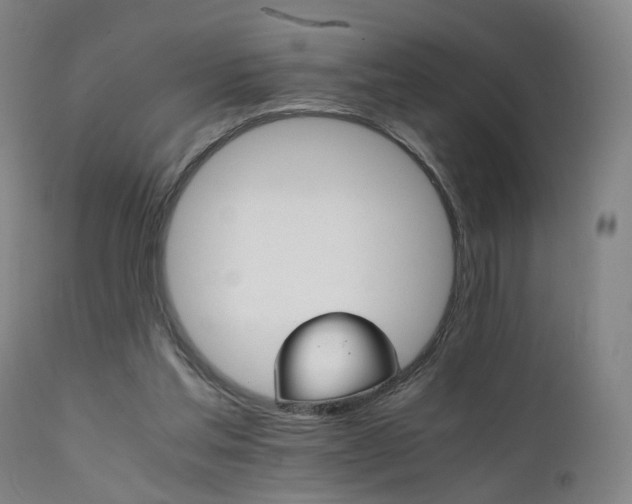 X0000111230205200907091343