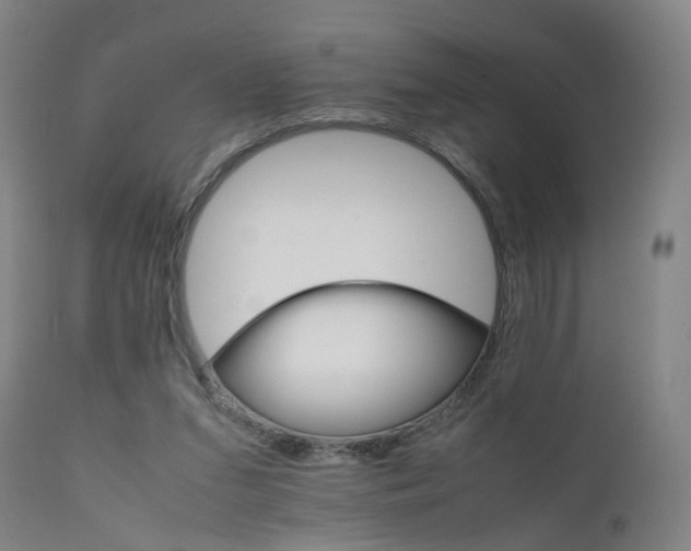 X0000111230207200907091343