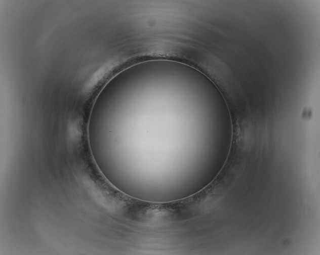 X0000111230208200907091343