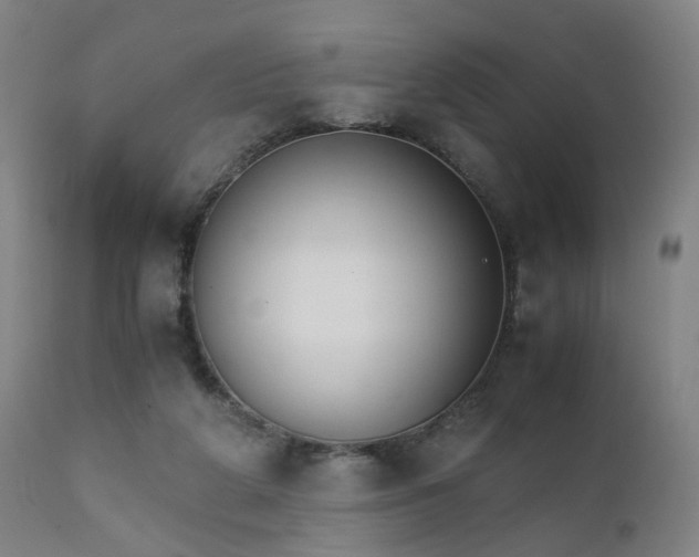 X0000111230210200907091343