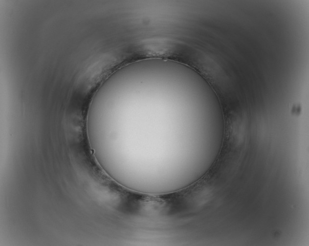 X0000111230215200907091343