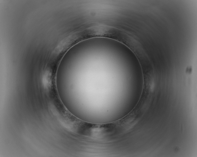 X0000111230216200907091343
