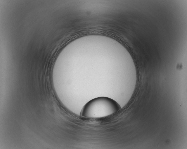X0000111230217200907091343