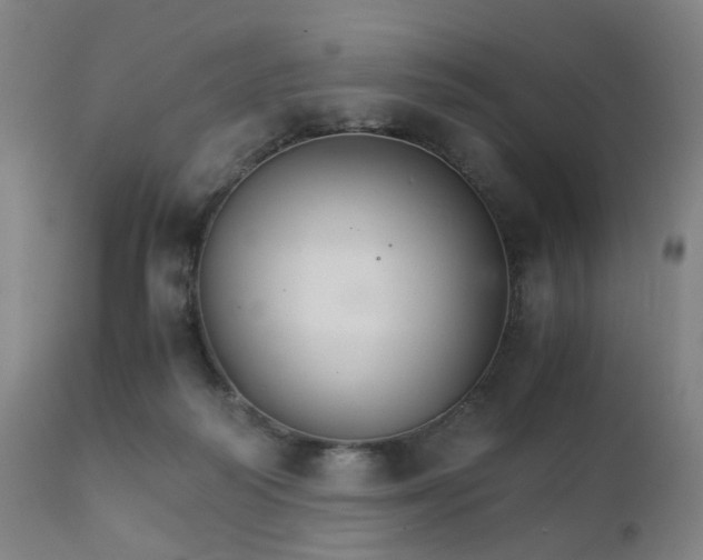 X0000111230218200907091343