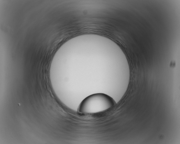 X0000111230219200907091343