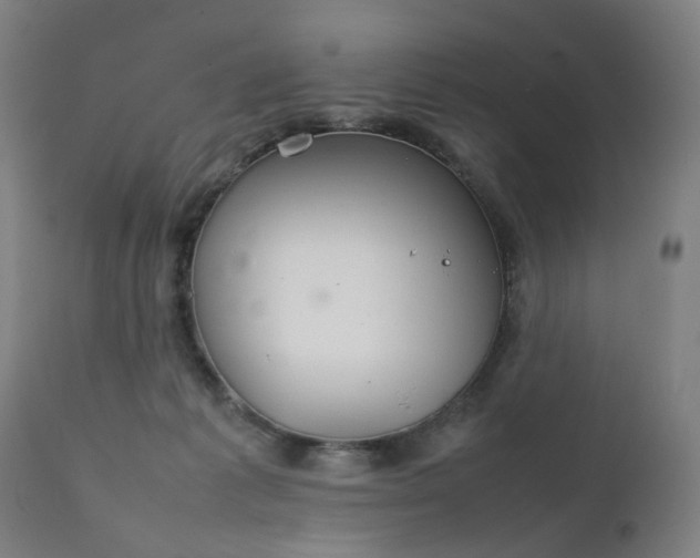 X0000111230221200907091343