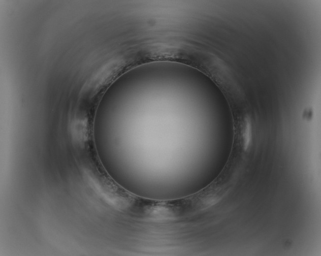 X0000111230224200907091343