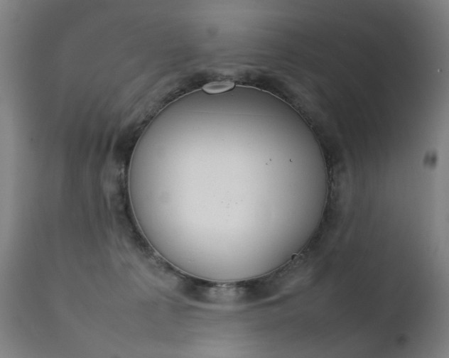 X0000111230225200907091343