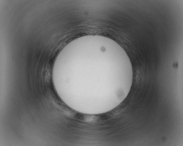 X0000111230226200907091343