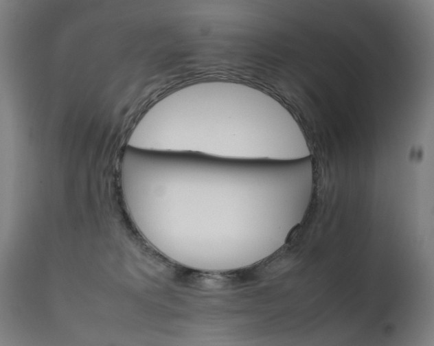 X0000111230229200907091343