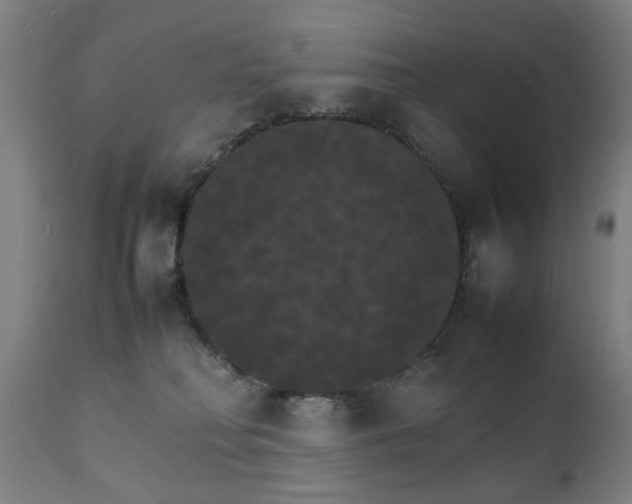 X0000111230230200907091343
