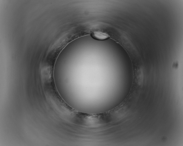 X0000111230232200907091343