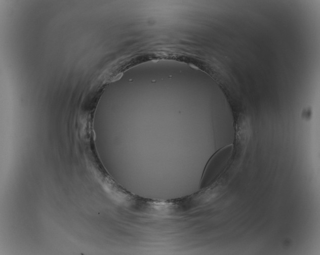 X0000111230233200907091343