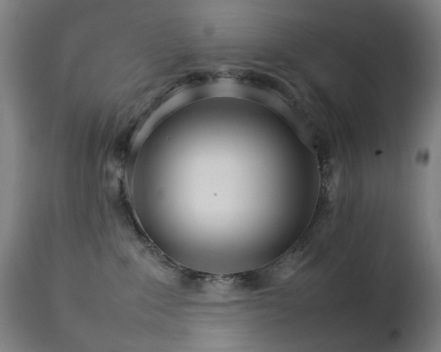 X0000111230235200907091343