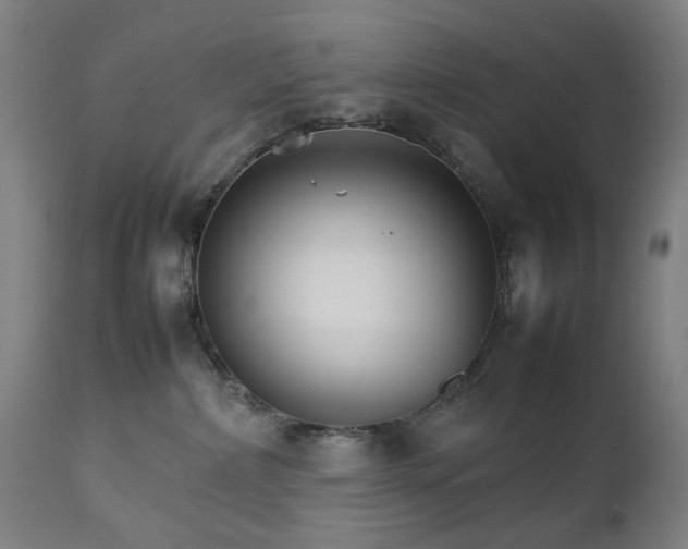 X0000111230236200907091343