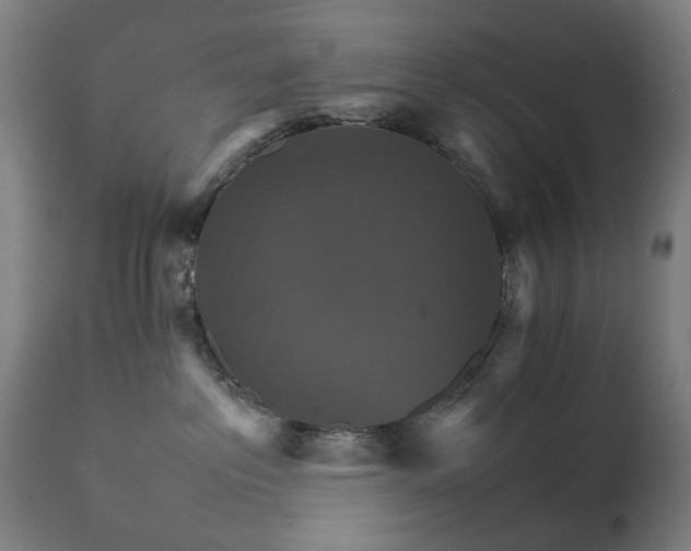 X0000111230237200907091343