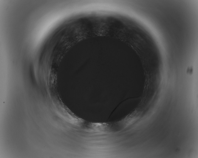X0000111230239200907091343