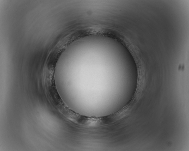 X0000111230240200907091343