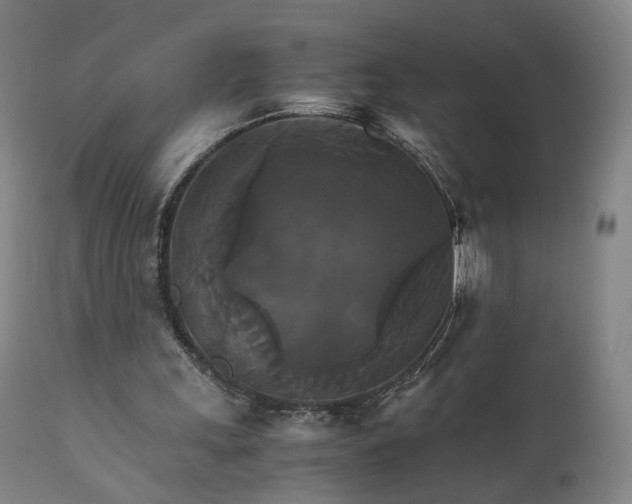 X0000111230243200907091342