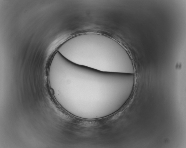 X0000111230245200907091342